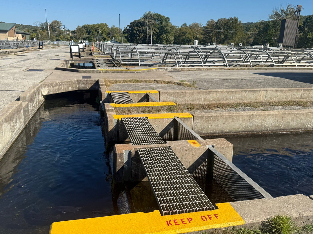 Shepherd of the Hills Fish Hatchery-布兰森必去景点