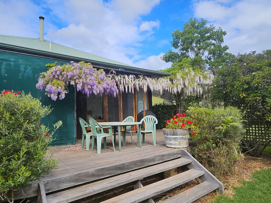 Henty Lodge Bed & Breakfast主图