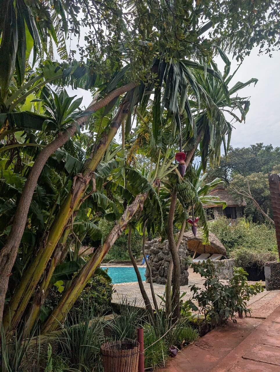 Kuriftu Resort and Spa Bahir Dar-官方