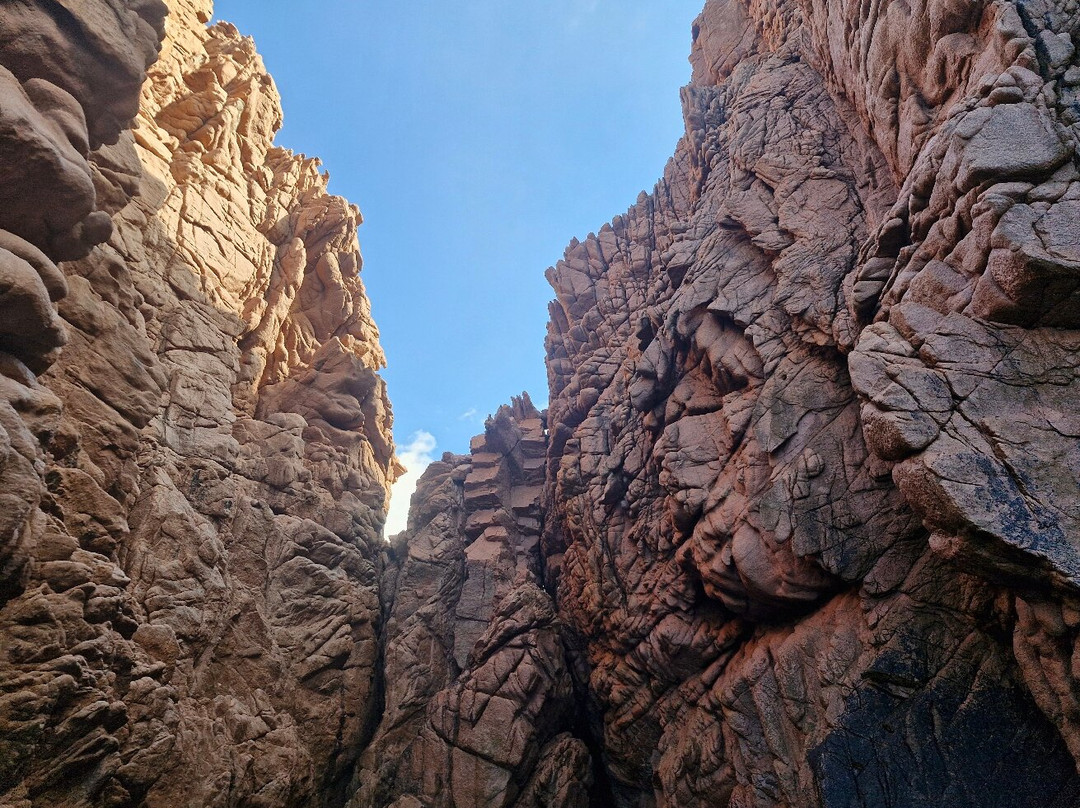 Alpana excursions en mer-Porto必去景点