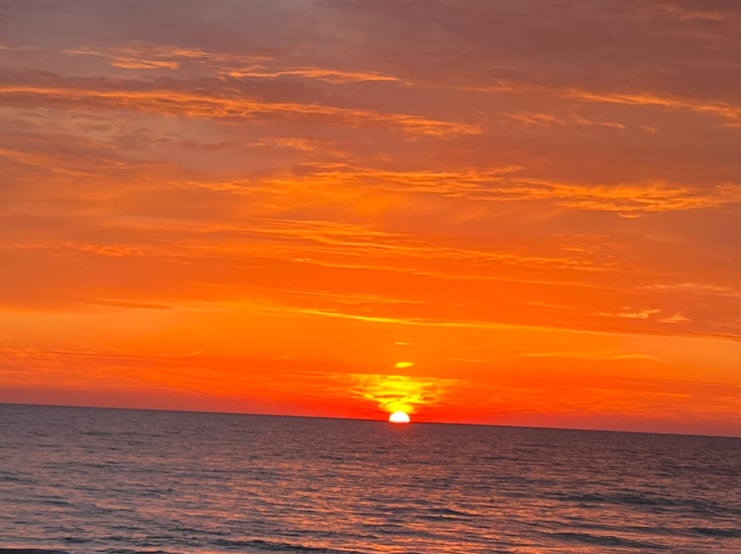 Illinois Beach Hotel主图