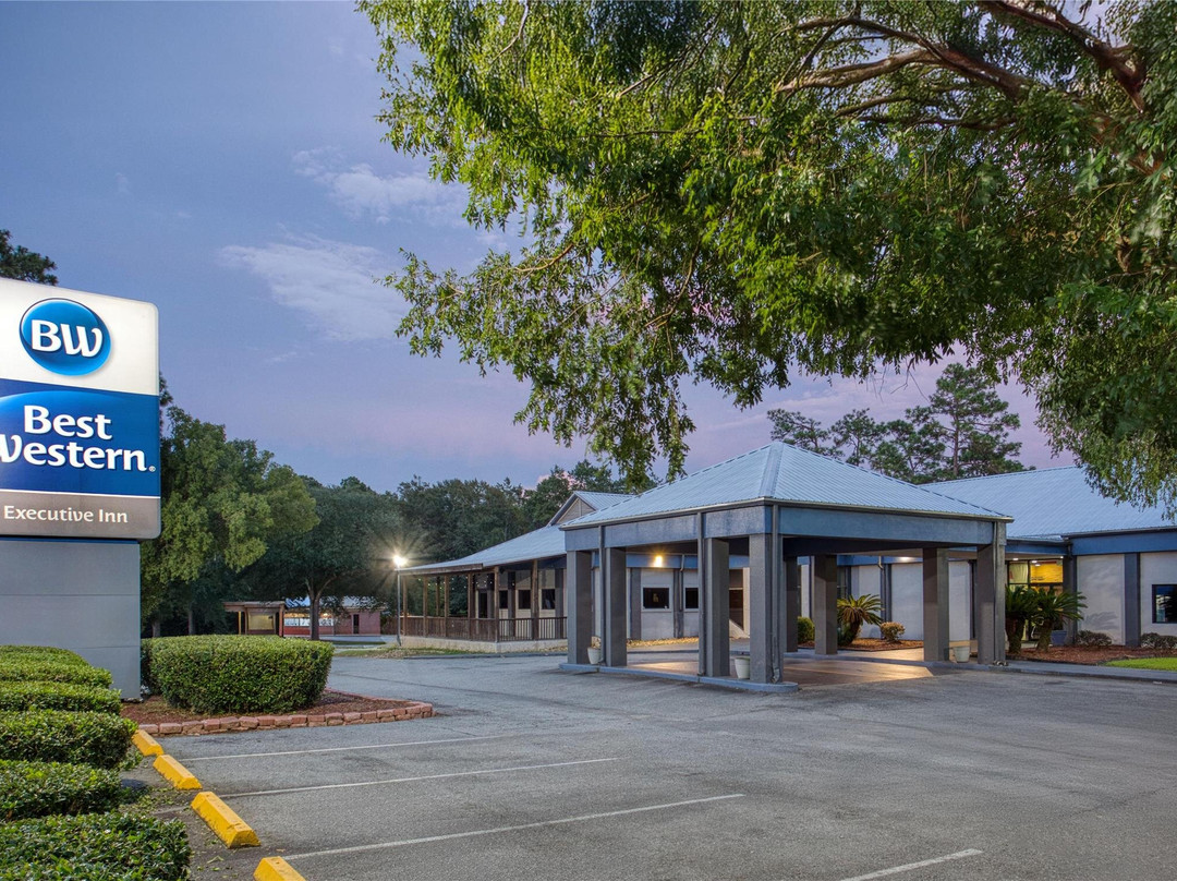 Cairo酒店住宿-Best Western Executive Inn