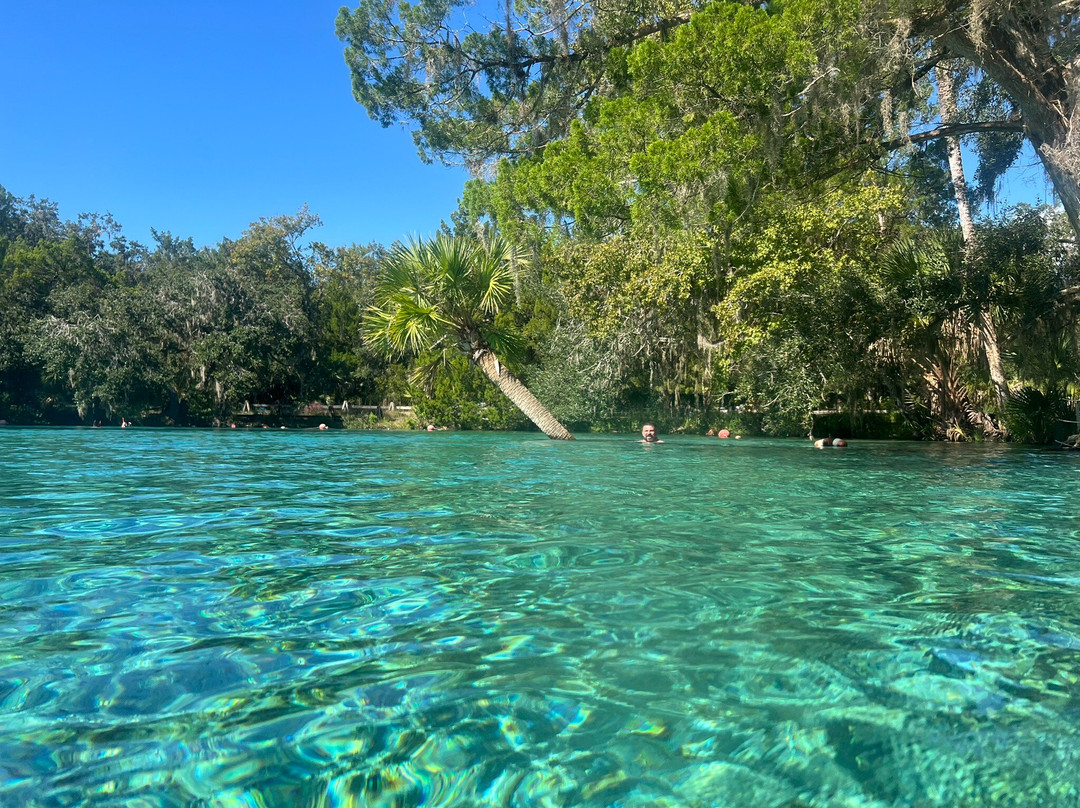 Silver Glen Springs Recreation Area-Salt Springs必去景点