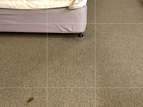 玛格丽特大酒店主图