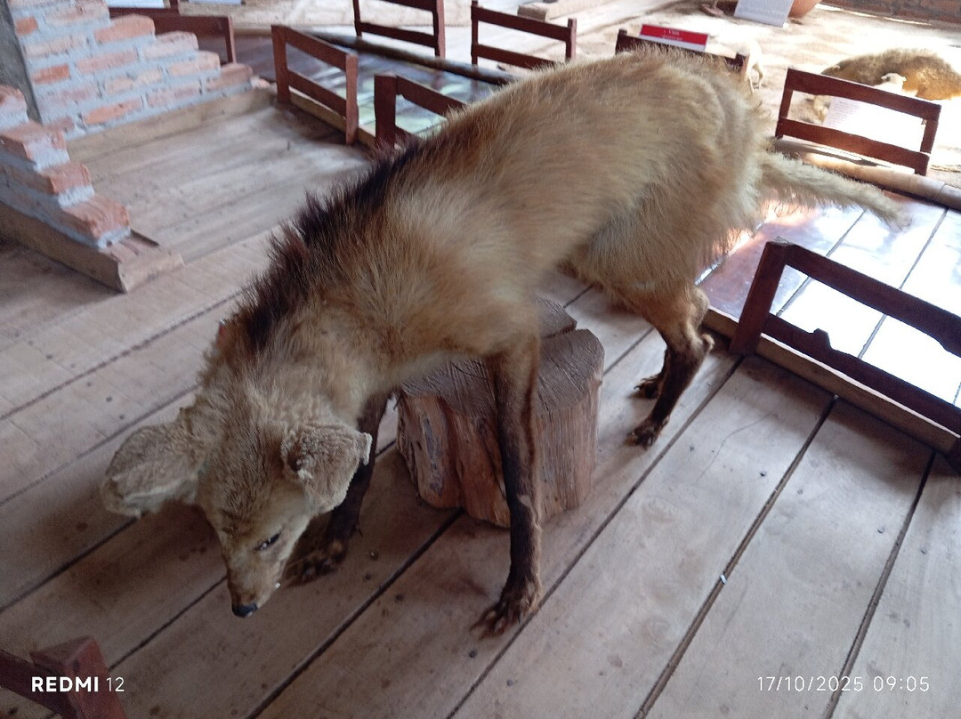 Gruta Catedral-博尼图必去景点
