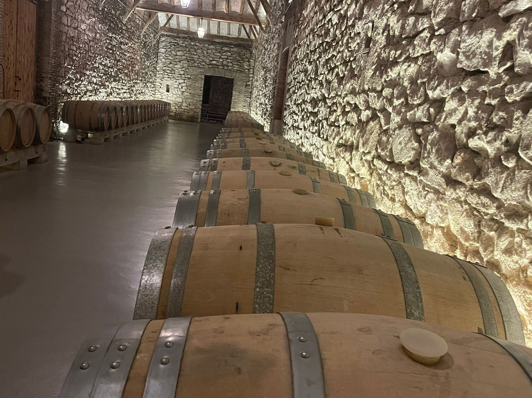 Bodegas Franco Espanolas-洛格罗尼奥必去景点