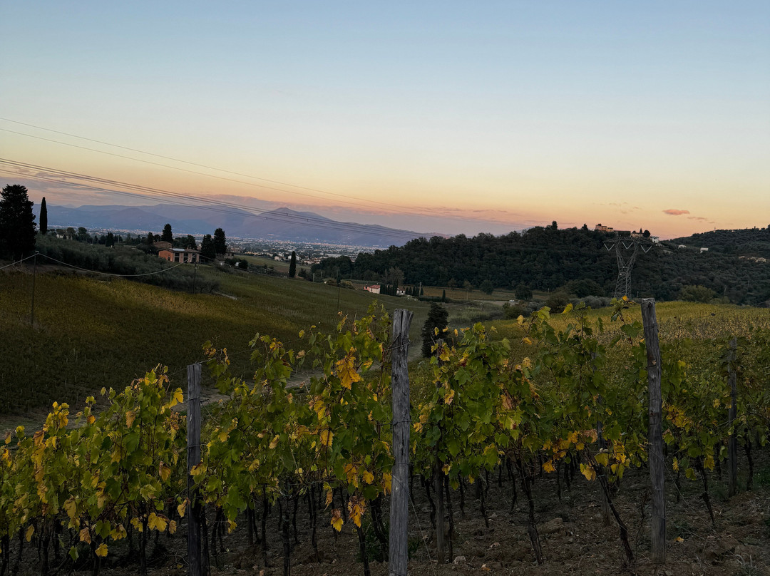Fabrizio Pratesi Winery-Seano必去景点