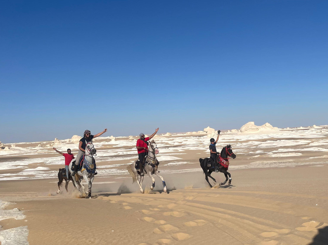 Ride Egypt-赫尔格达必去景点