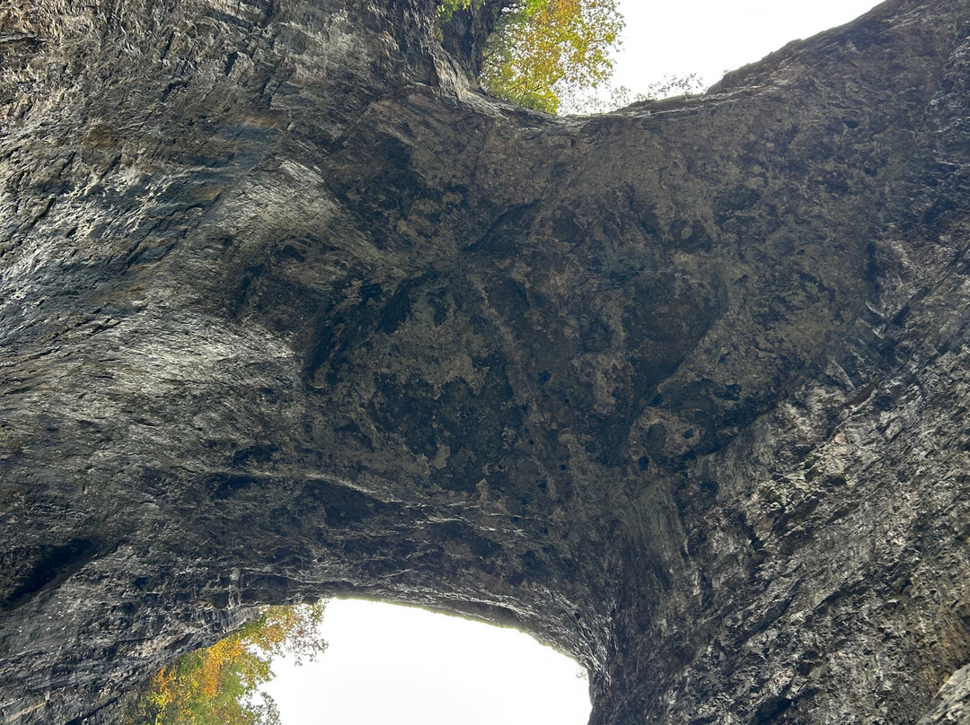 Natural Bridge State Park-天然桥必去景点