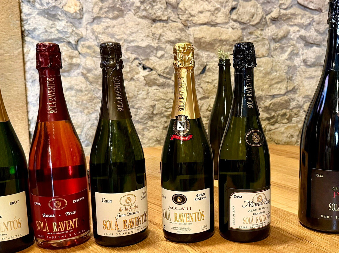 Cava Sola Raventos-桑特萨杜尔尼达诺亚必去景点