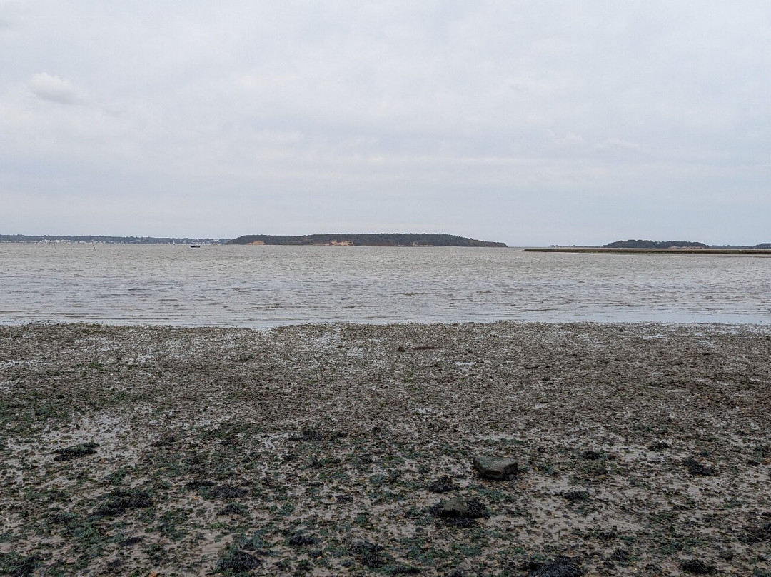 RSPB Arne-Arne必去景点