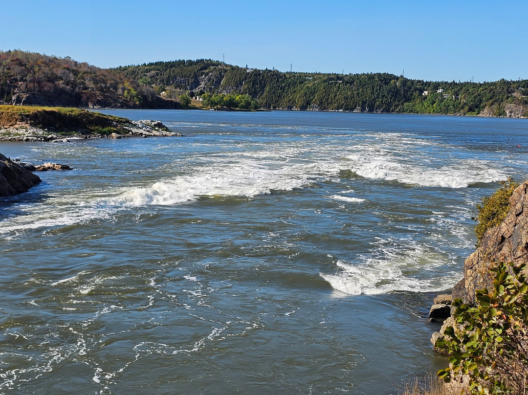Reversing Falls Rapids-圣约翰必去景点