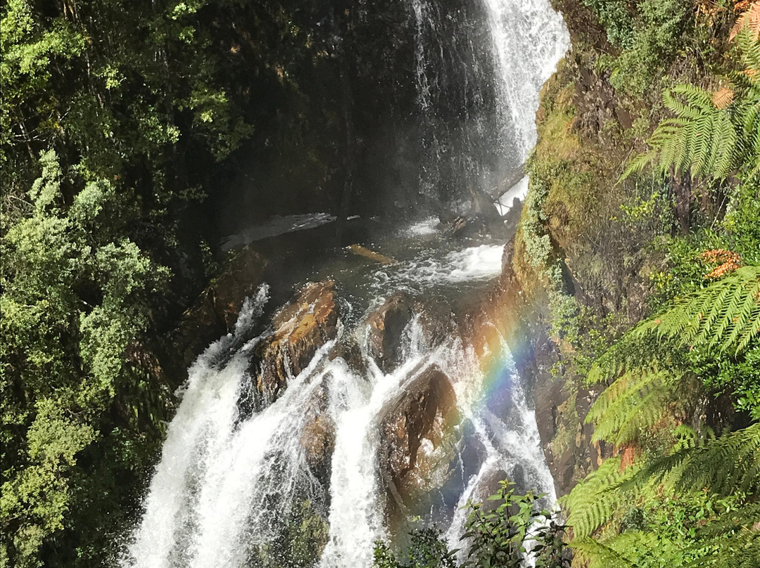 Philosopher Falls-Waratah必去景点