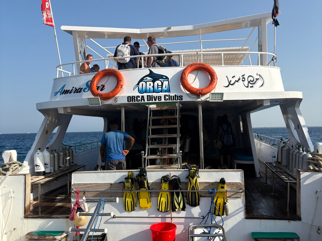 ORCA Dive Club Coral Garden-Safaga必去景点