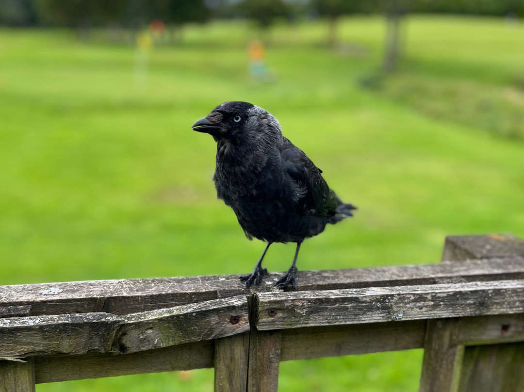 Crow Park-凯瑟克必去景点