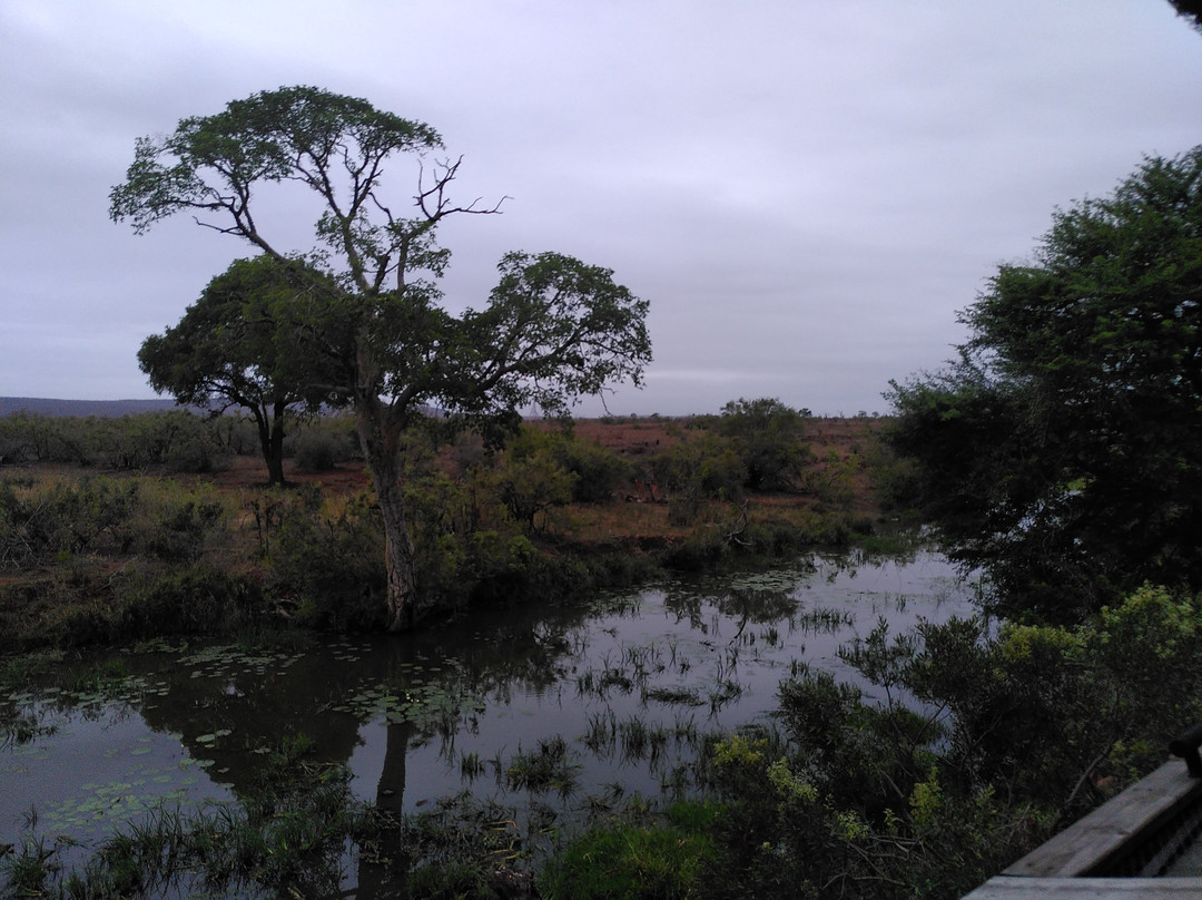 Royal Safaris-库马堤港必去景点