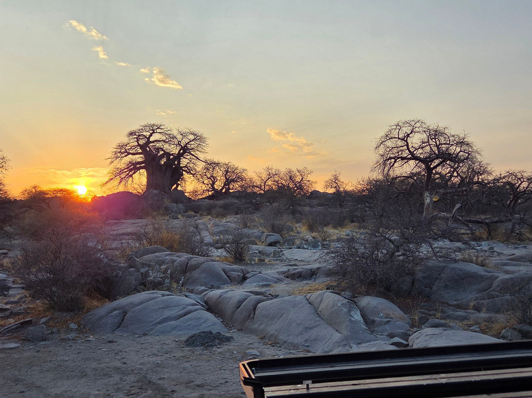 Kubu Island-Makgadikgadi Pans National Park必去景点