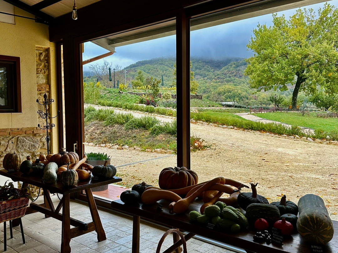 Fattoria Del Borgo In Sabina-Pozzaglia Sabina必去景点