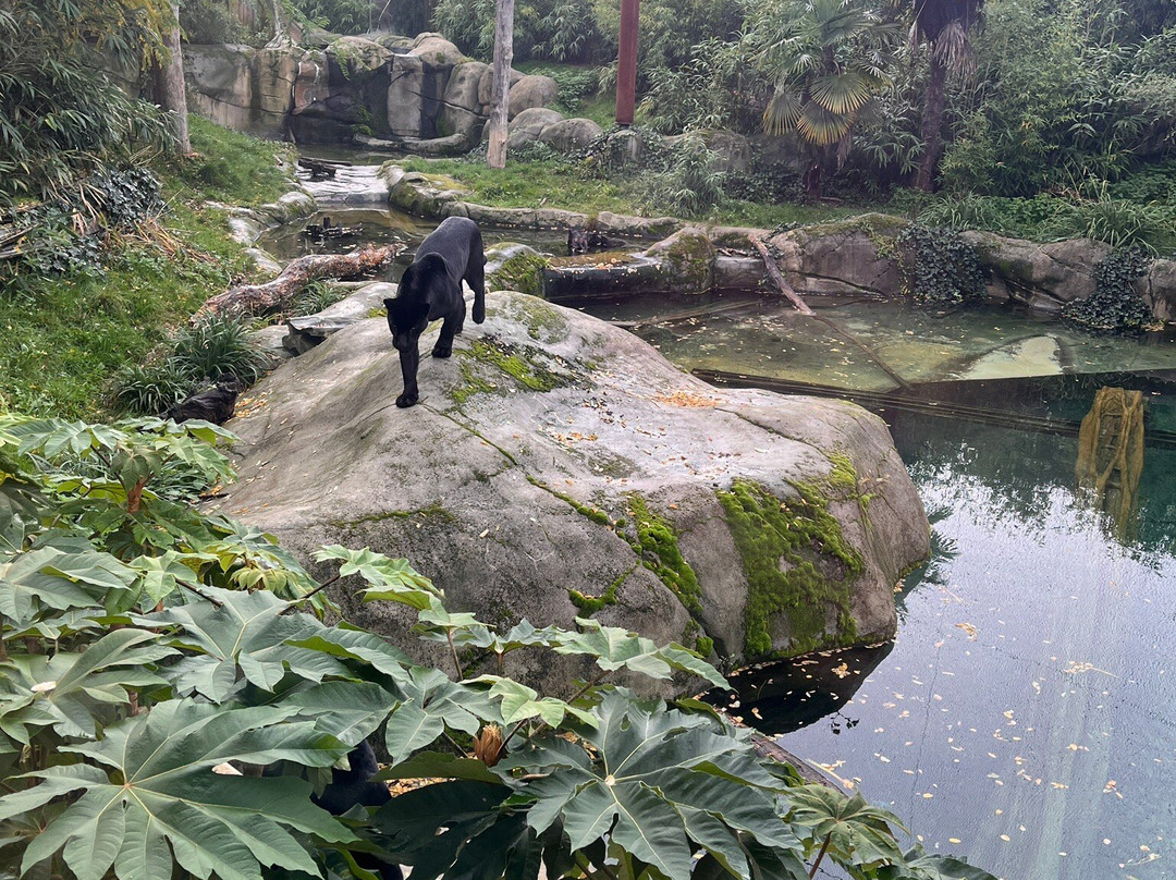 Parrot World-Crecy-la-Chapelle必去景点