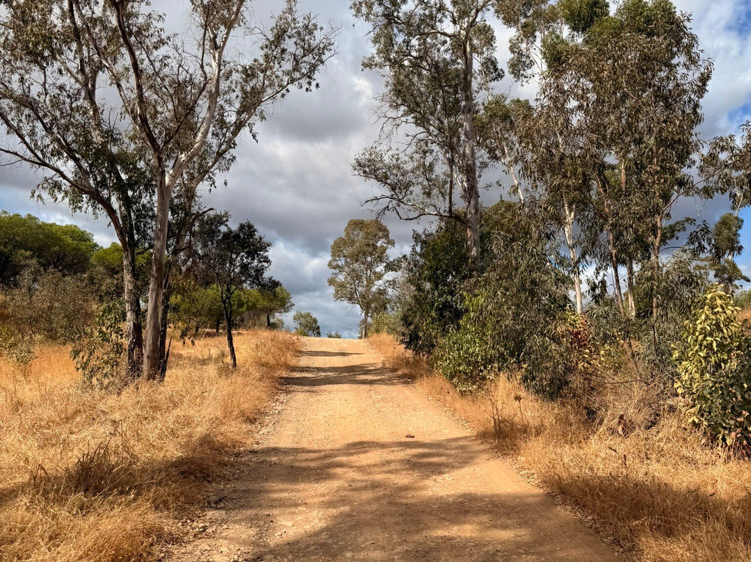 Avalanche Algarve-圣布拉德阿尔波特必去景点