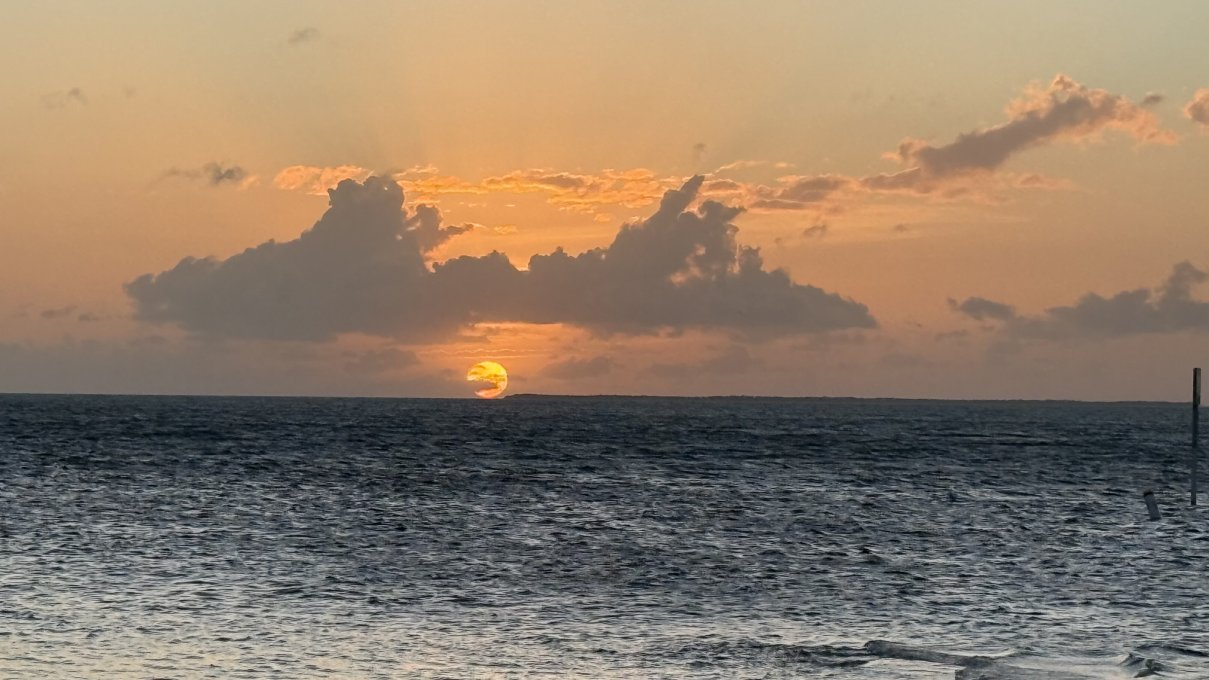 Little Palm Island-泳池