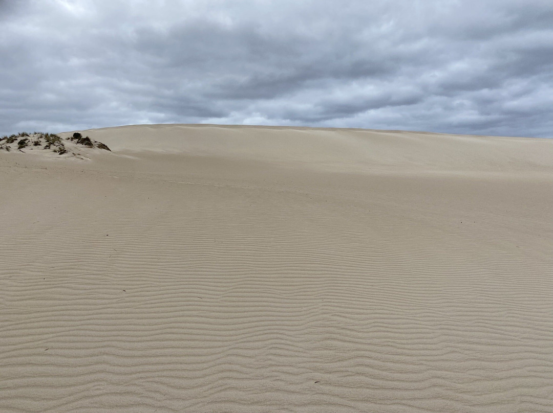Little Sahara-袋鼠岛必去景点