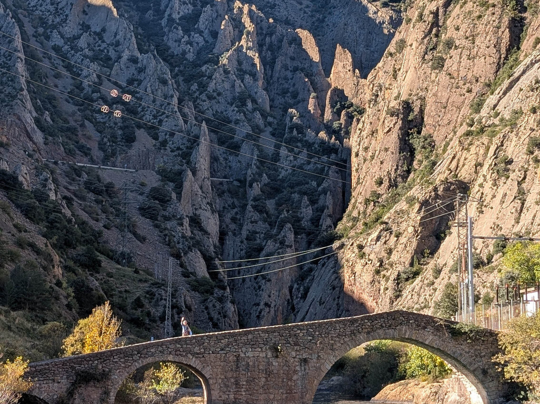 阿尔尼斯酒窖酒店主图