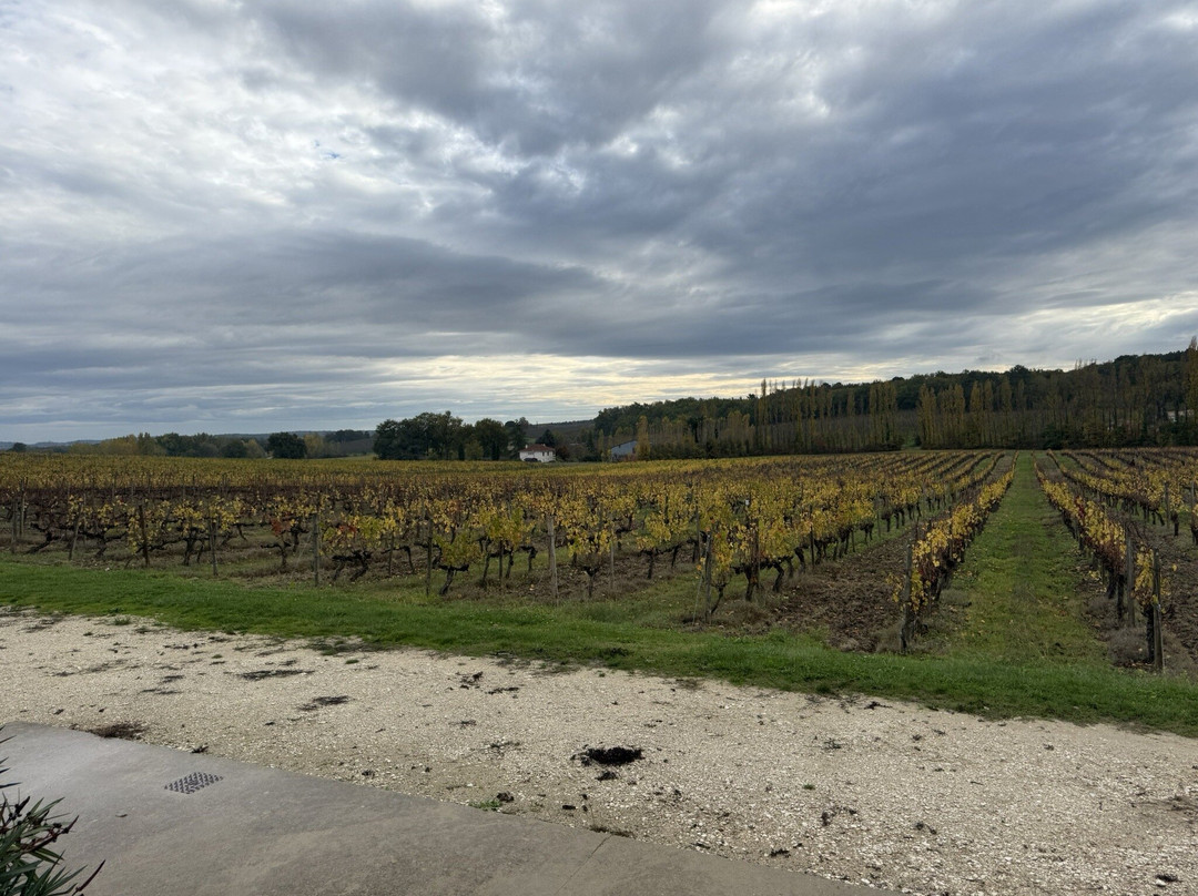 Domaine du Grand Mayne-Villeneuve-de-Duras必去景点