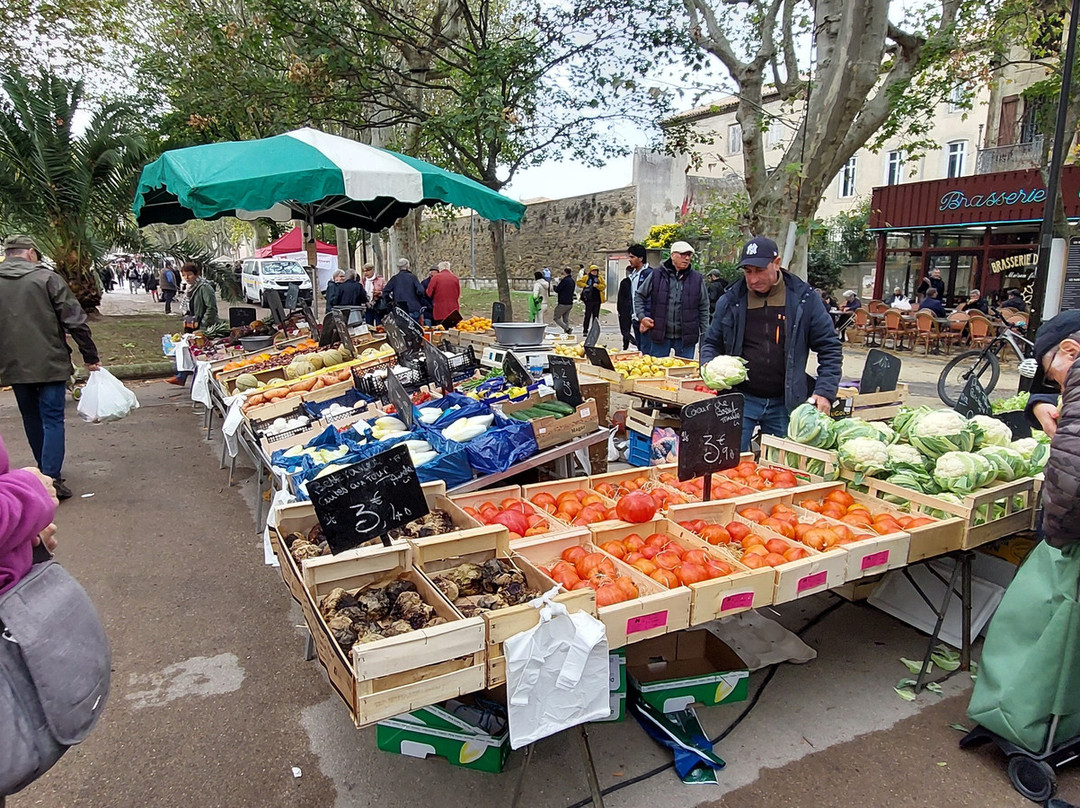 Le Boat - Castelnaudary-Castelnaudary必去景点