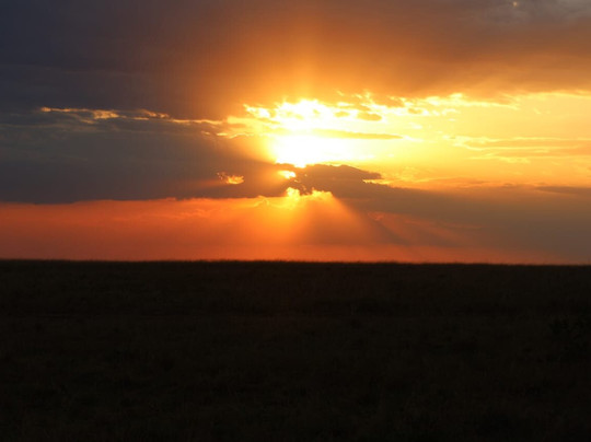 Wild Springs Adventures-内罗毕必去景点