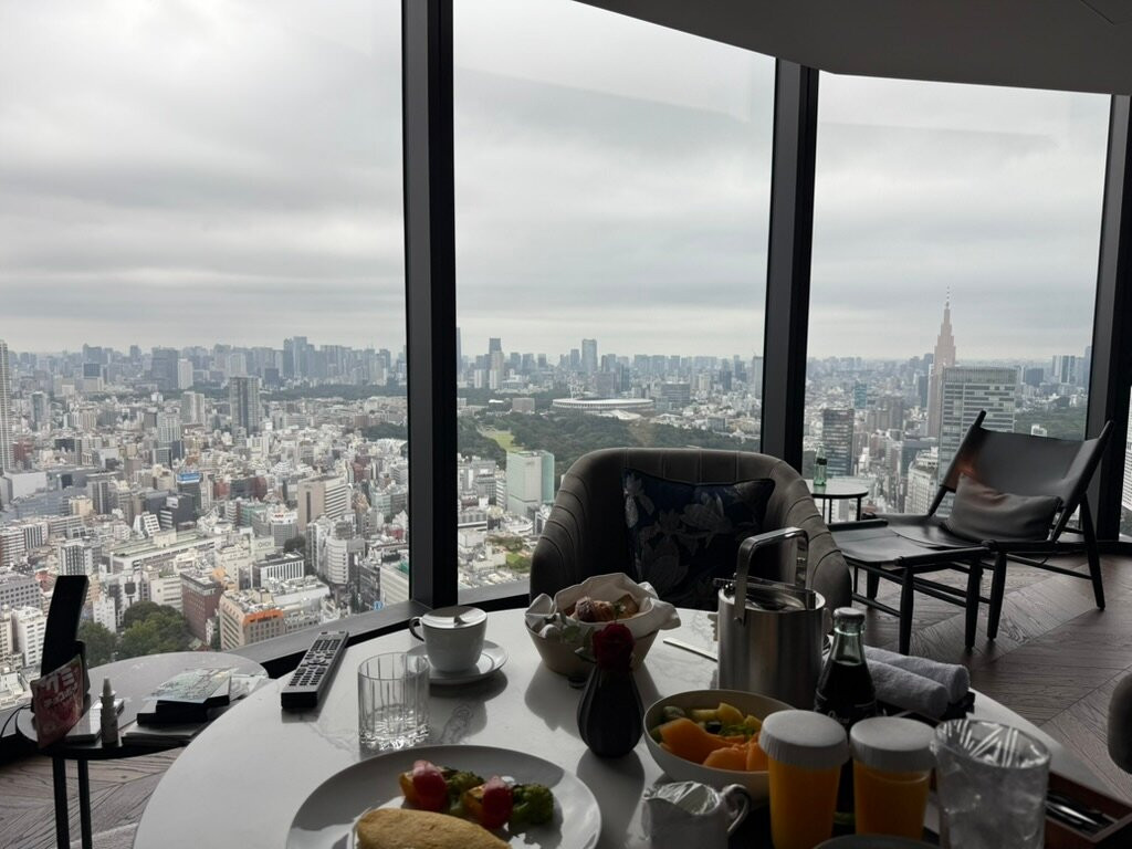 东京泛太平洋骊星酒店主图