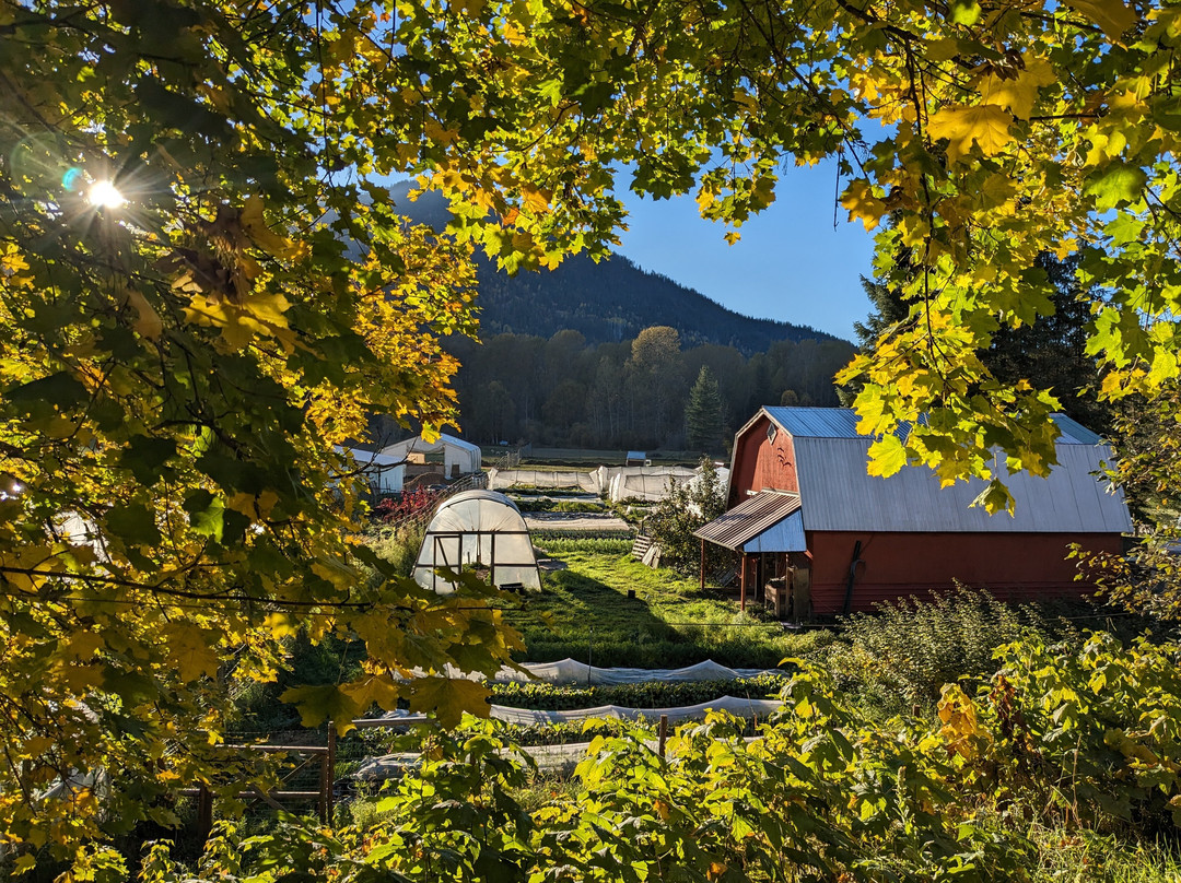 Clutch Farm - seasonal farm stand-Salmo必去景点