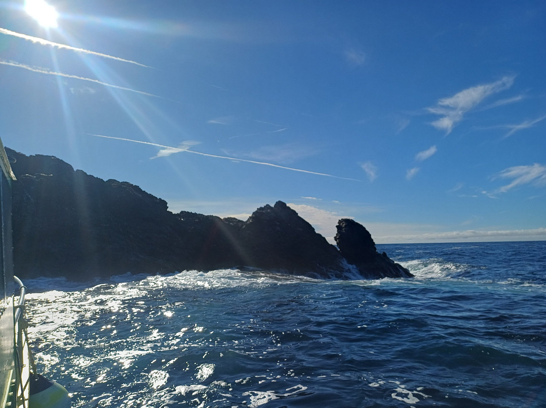 O2 Plongée-Carqueiranne必去景点