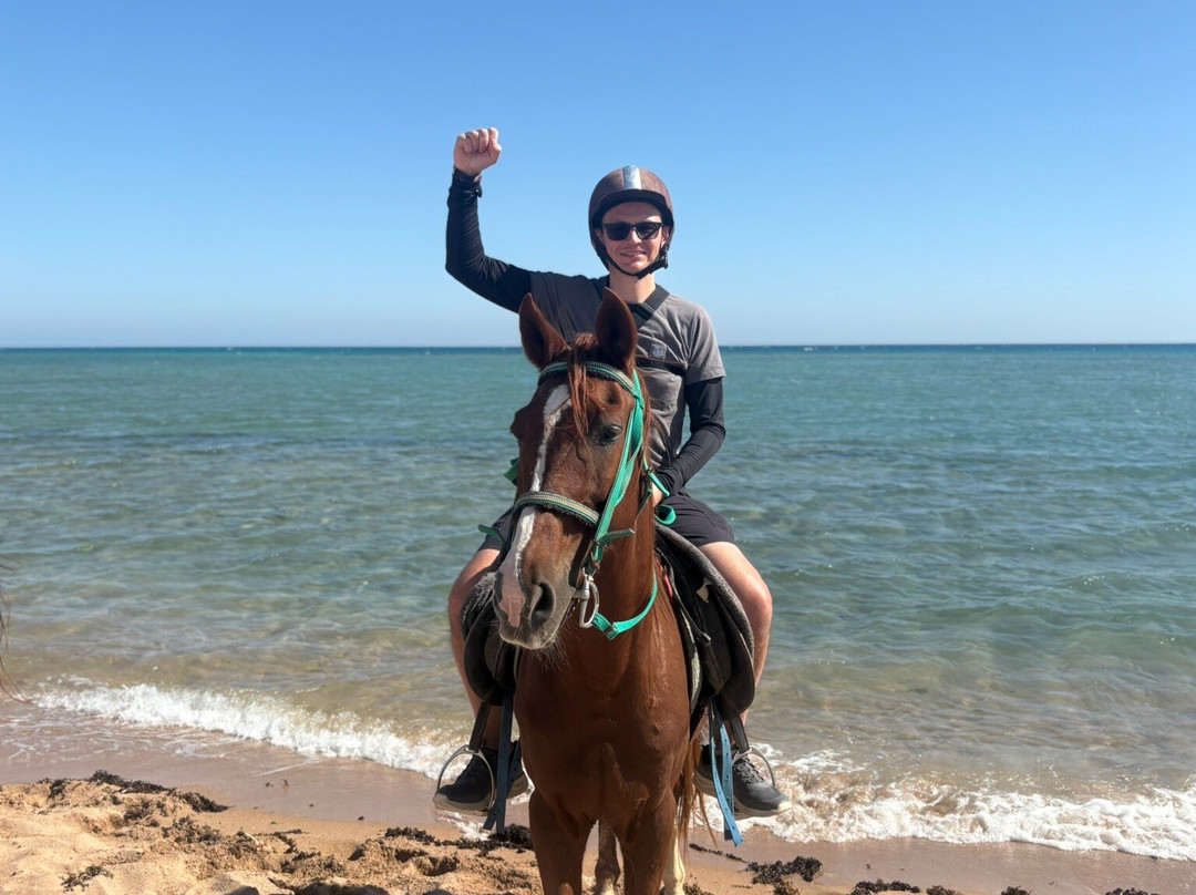 Trip Adventure-赫尔格达必去景点