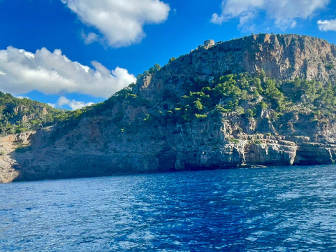 Barcos Azules-索列尔港必去景点