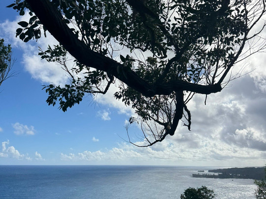 Hana Tours of Maui-毛伊岛必去景点