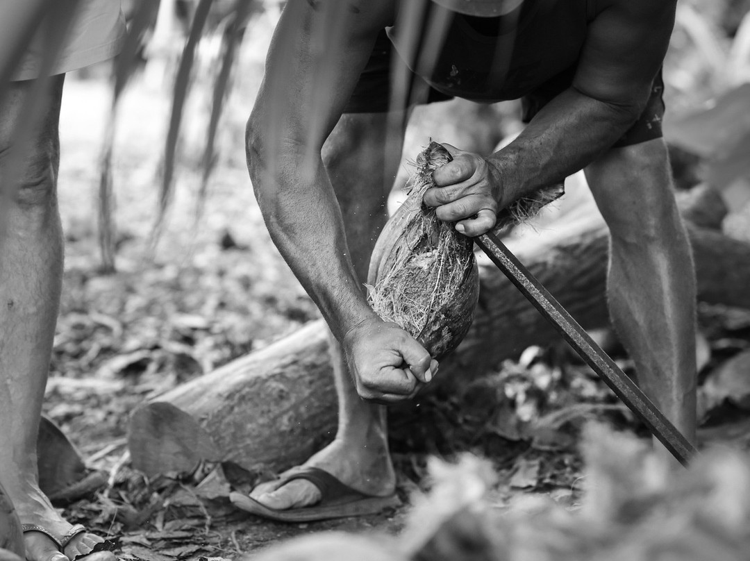 Pension Poerani Nui主图