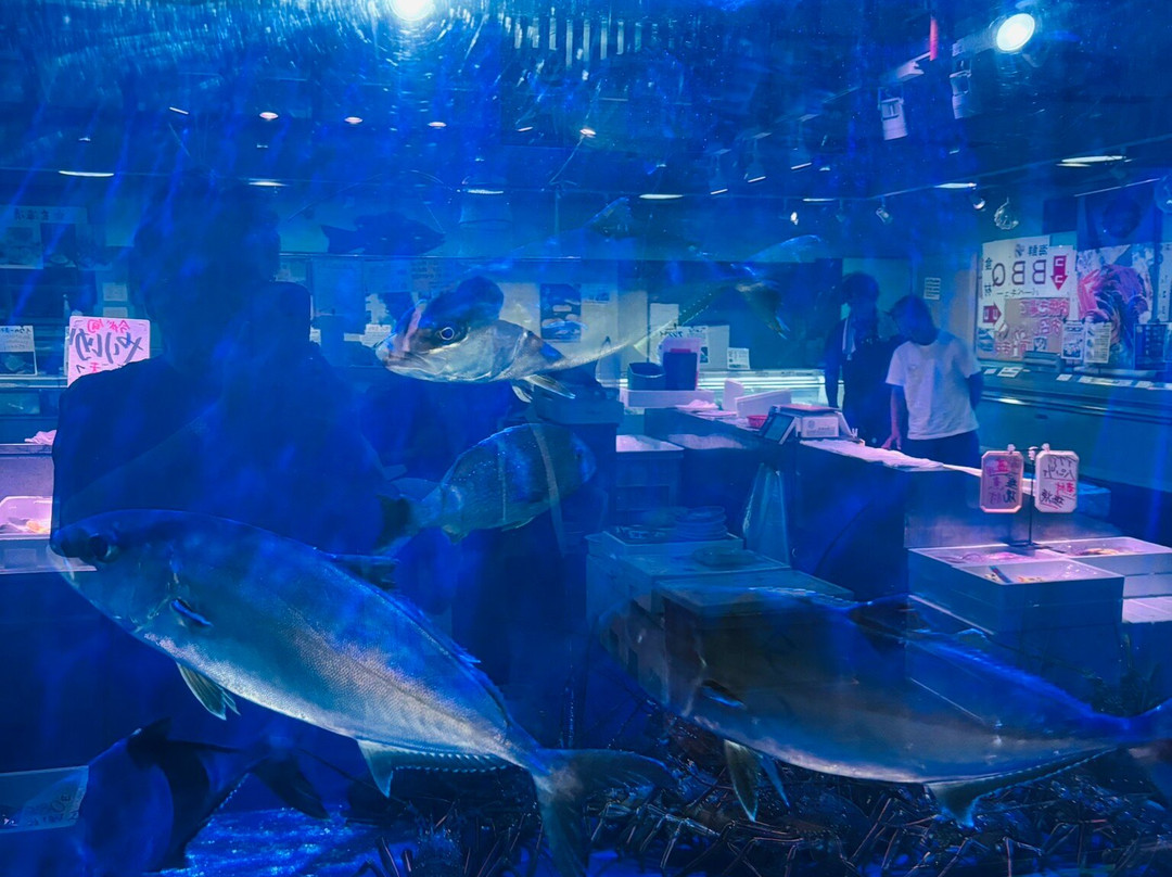 Marine Center Osakanamura-唐津市必去景点