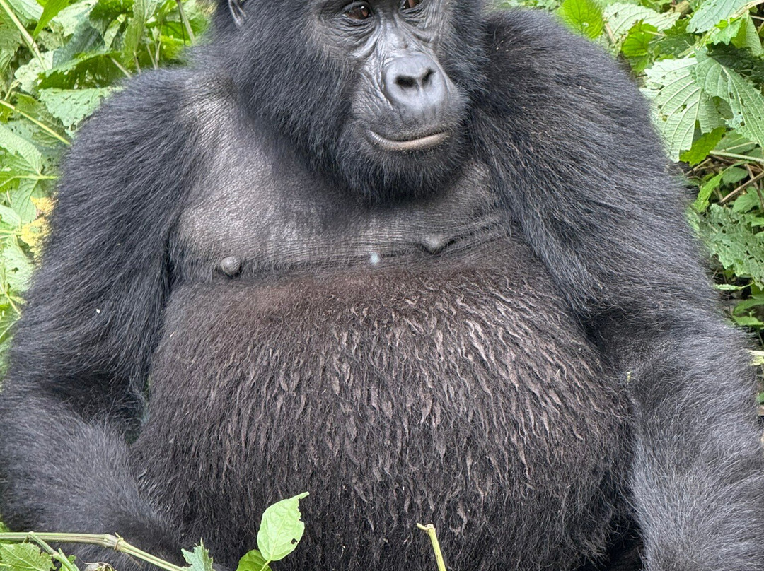 Grassrootz Adventures Uganda-坎帕拉必去景点