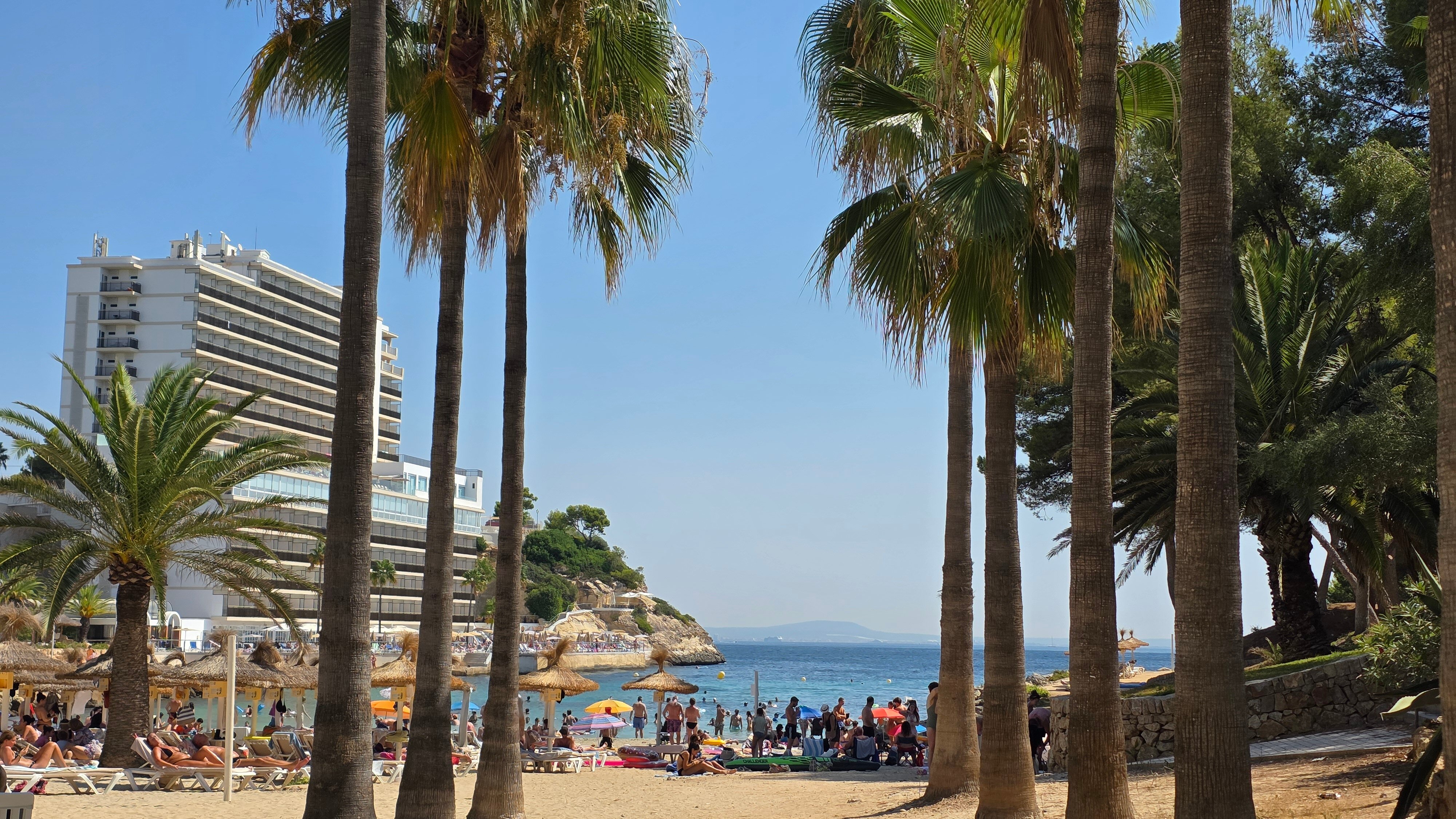 Occidental Cala Vinas-泳池