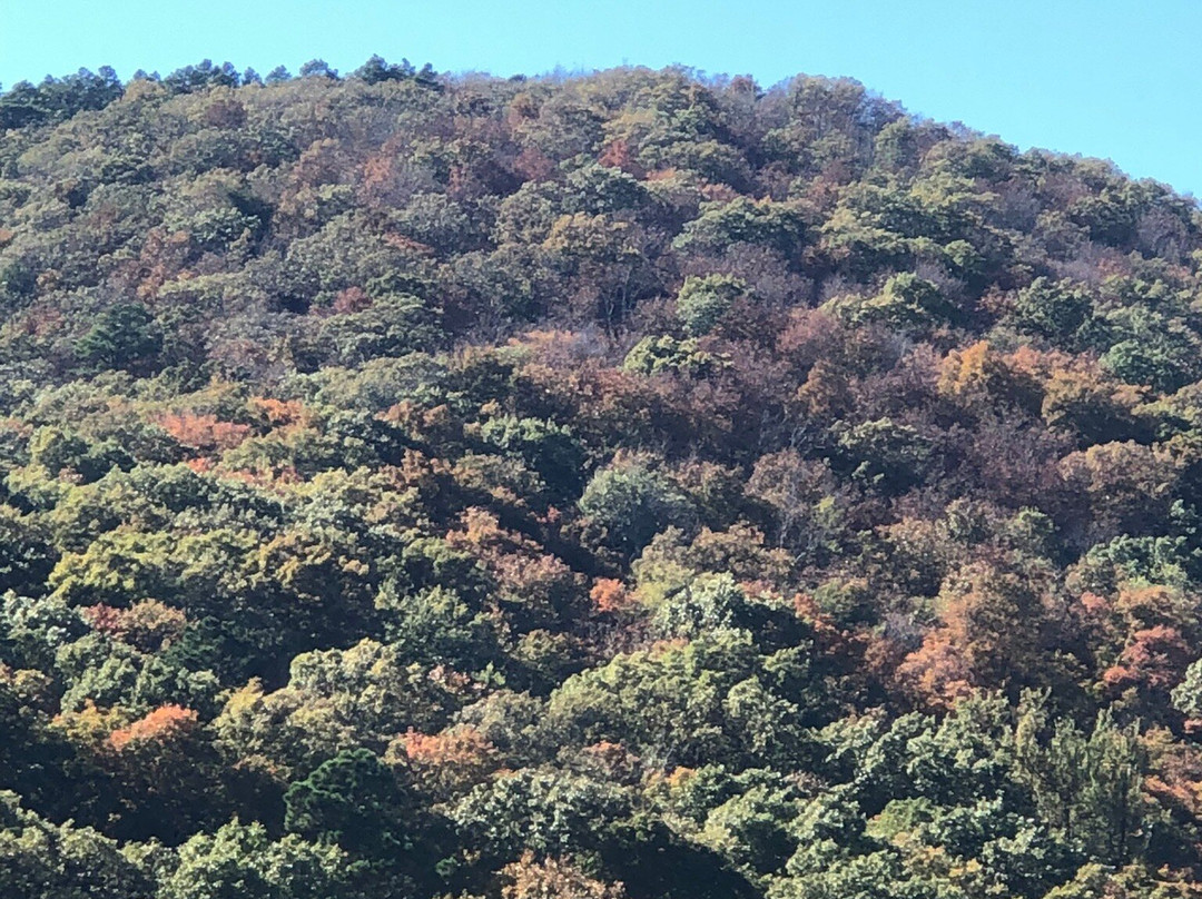 Talimena National Scenic Byway-Talihina必去景点