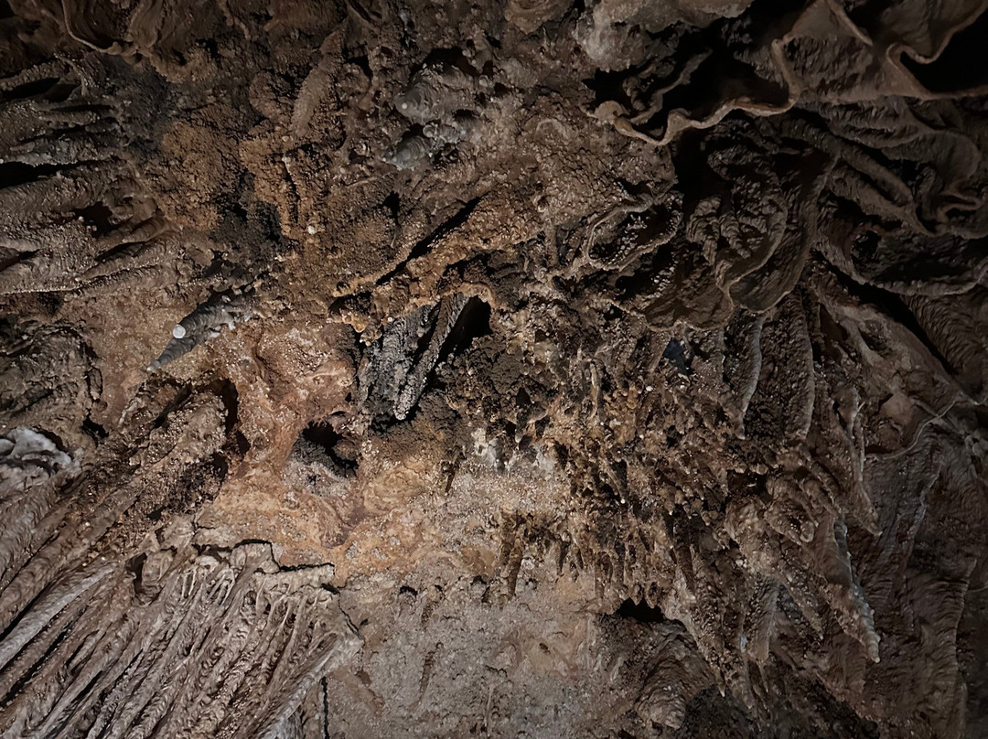 Phongnha Discovery-洞海必去景点