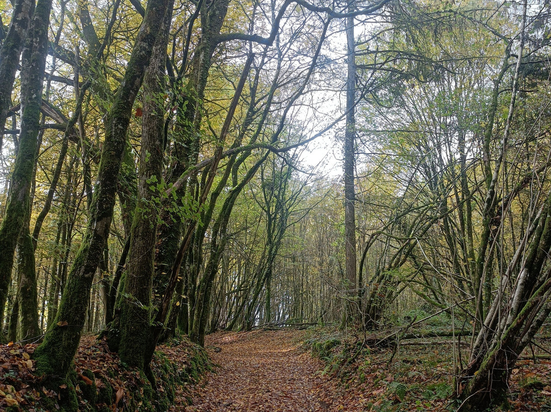 Ferme Chene de Greletti-Chalais必去景点