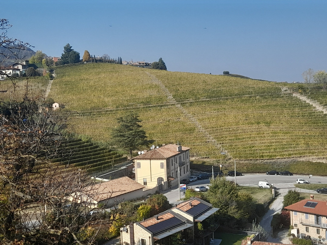 Panchina Gigante Verde Smeraldo-Neive必去景点