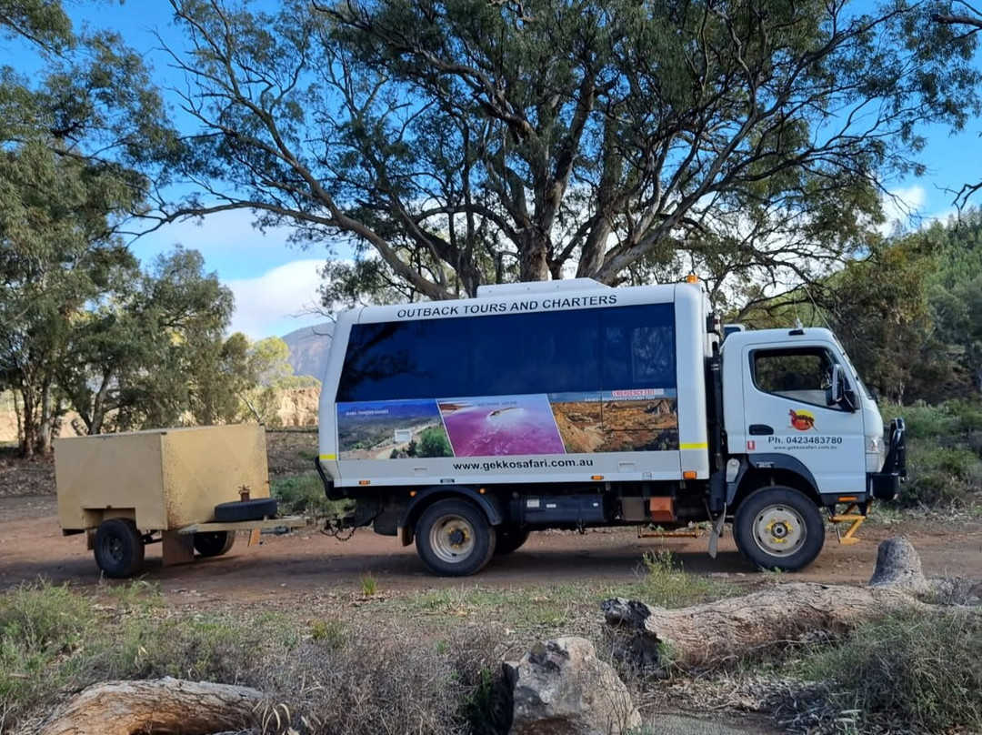Gekko Safari - Outback Tours-Belair必去景点