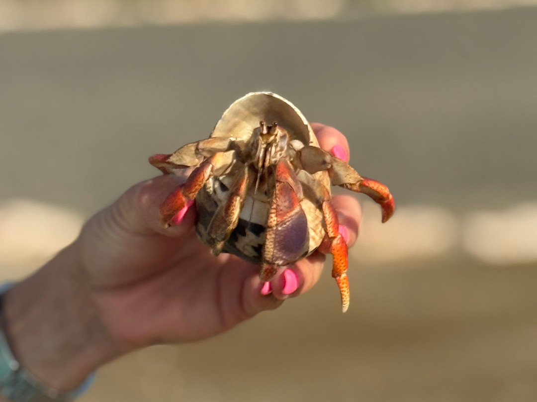 阿勒柯克国家公园-Santa Cruz必去景点