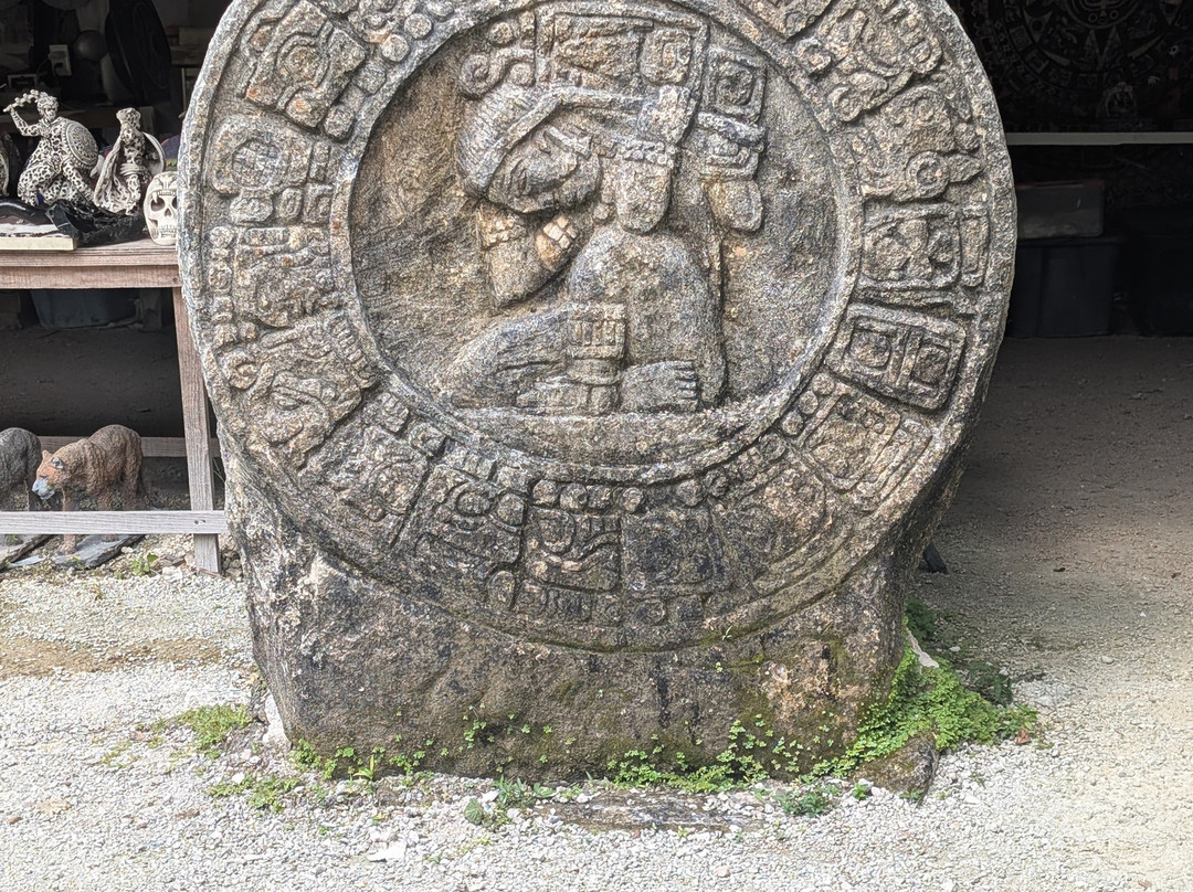 Mayan Bee Sanctuary-San Miguel de Cozumel必去景点