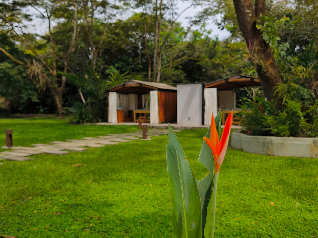 Hotel Alcaraván Colsubsidio主图