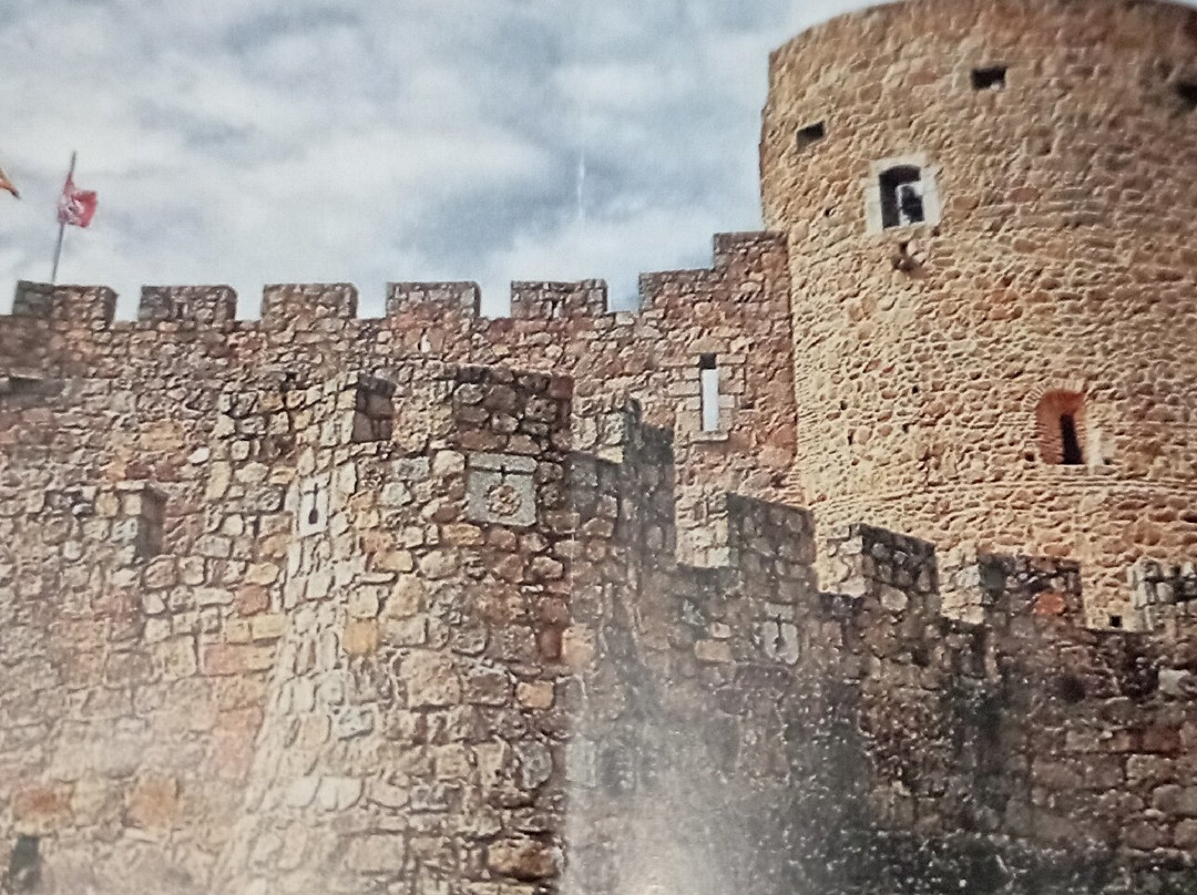Castillo de La Adrada-La Adrada必去景点