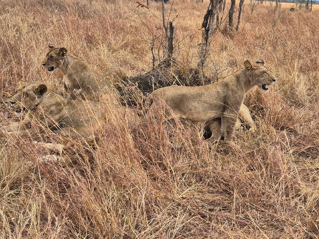 NICE ADVENTURE SAFARI-Dar es Salaam必去景点